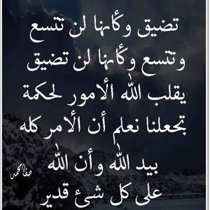 Meet your Posher, Nora